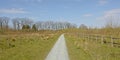 Gravel path, meadows and lane of bare maple trees Royalty Free Stock Photo