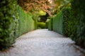 gravel path with neatly trimmed hedges either side, blurred flora