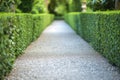 gravel path with neatly trimmed hedges either side, blurred flora