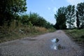 Gravel path with puddles next to a grove at sunset Royalty Free Stock Photo