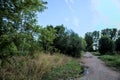 Gravel path with puddles next to a grove at sunset Royalty Free Stock Photo