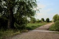 Gravel path with puddles next to a grove at sunset Royalty Free Stock Photo