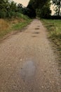 Gravel path with puddles next to a grove at sunset Royalty Free Stock Photo