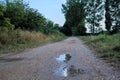 Gravel path with puddles next to a grove at sunset Royalty Free Stock Photo