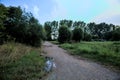 Gravel path with puddles next to a grove at sunset Royalty Free Stock Photo