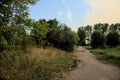 Gravel path with puddles next to a grove at sunset Royalty Free Stock Photo