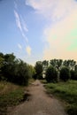 Gravel path with puddles next to a grove at sunset Royalty Free Stock Photo