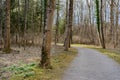 Gravel path in riparian woodland in springtime