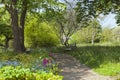 Heavenly Gravel path through spring flowering plants, shrubs Royalty Free Stock Photo