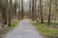 Gravel path with wooden bench and bare trees in riparian woodland in springtime