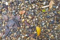 Gravel and pebble in mixed colour