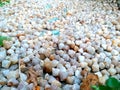 gravel pebbles yard crystal