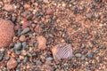 Gravel Pits are a great Place to find Lake Superior Agates