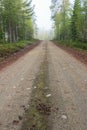 Gravel road Royalty Free Stock Photo