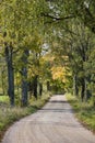 Gravel road alley