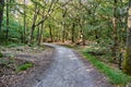 Gravel road through the Almidingen forest, Bornholm island, Denmark Royalty Free Stock Photo