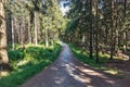 Gravel road through the Almidingen forest, Bornholm island, Denmark Royalty Free Stock Photo