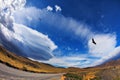 Gravel road and Andean condors