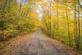 Gravel road in autumn Royalty Free Stock Photo