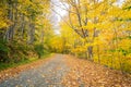 Gravel road in autumn Royalty Free Stock Photo