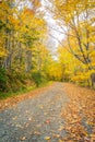 Gravel road in autumn Royalty Free Stock Photo