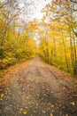 Gravel road in autumn Royalty Free Stock Photo