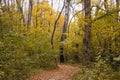 Gravel road in the autumn forest. The road is strewn with yellow leaves. Nature in the fall. Royalty Free Stock Photo