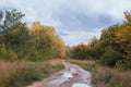 Gravel road in the autumn forest. The road is strewn with yellow leaves. Nature in the fall. Royalty Free Stock Photo