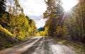 Gravel road in the autumn forest. Sunbeams over yellow trees. Royalty Free Stock Photo