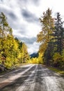 Gravel road in the autumn forest. Sunbeams over yellow trees. Royalty Free Stock Photo