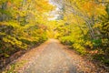 Gravel road in autumn Royalty Free Stock Photo