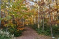 Gravel Road Through Colorful Fall Foliage Trees Royalty Free Stock Photo