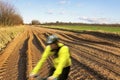 Gravel road. Royalty Free Stock Photo