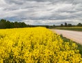 Gravel road in countryside Royalty Free Stock Photo