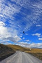 Gravel road crosses park Torres del Paine Royalty Free Stock Photo