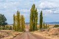 Gravel road crossing the Stormberg river on the Rooipoort road