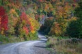 Gravel road curving and sloping down into the colorful forest. Royalty Free Stock Photo