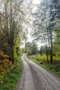 Gravel road in a deciduous forest by fall season Royalty Free Stock Photo