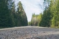 Gravel road in dense forest