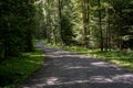 Gravel Road in the Forest Royalty Free Stock Photo