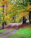 Gravel Road Disappears Over Hill