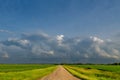A gravel road dividing green crops in a summer landscape