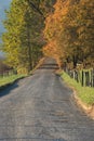 Gravel Road in Fall