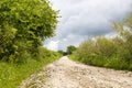 Gravel road in a forest leading to a mountain Royalty Free Stock Photo