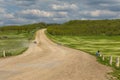 A gravel road among forest. Republic of Moldova