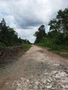 Gravel Road Between Forests, Blue Sky and Clouds as Background Royalty Free Stock Photo