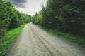 A gravel road through a green dense deciduous forest Royalty Free Stock Photo