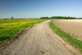 Gravel road through a green meadow with yellow flowers, plowed field, trees on the horizon and blue sky Royalty Free Stock Photo