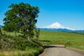 Gravel road heading toward Mount Hood in Oregon Royalty Free Stock Photo