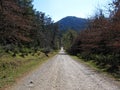 Gravel road in Hogsback village , South Africa